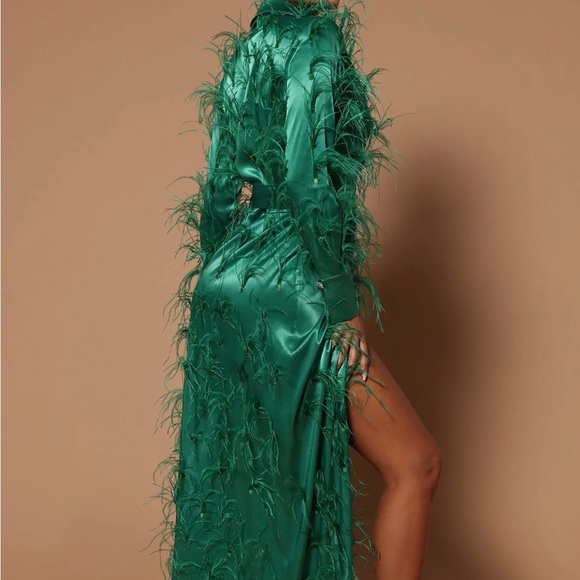 Fashion Nova feather wrap maxi dress - Picture 3 of 3